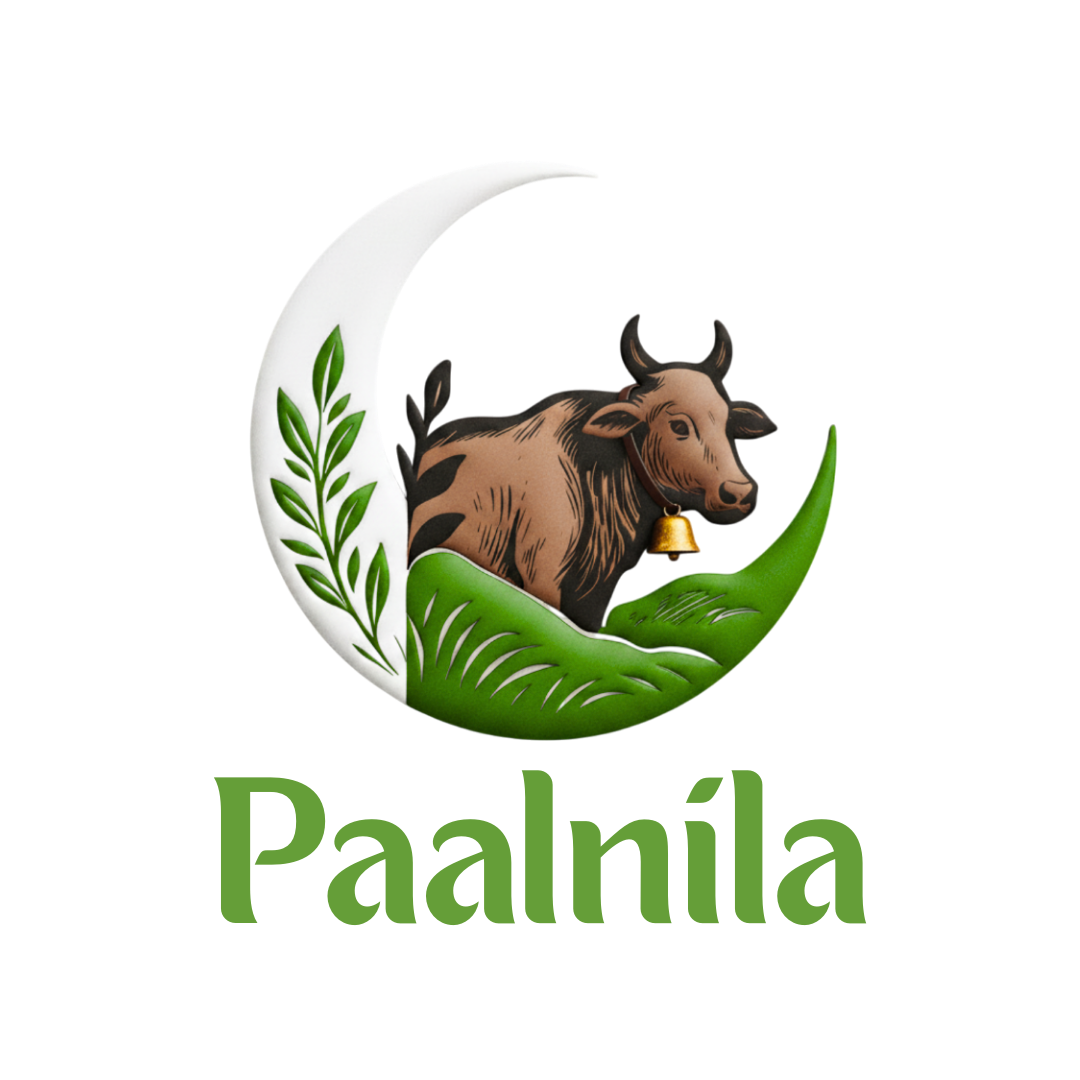 Paalnila